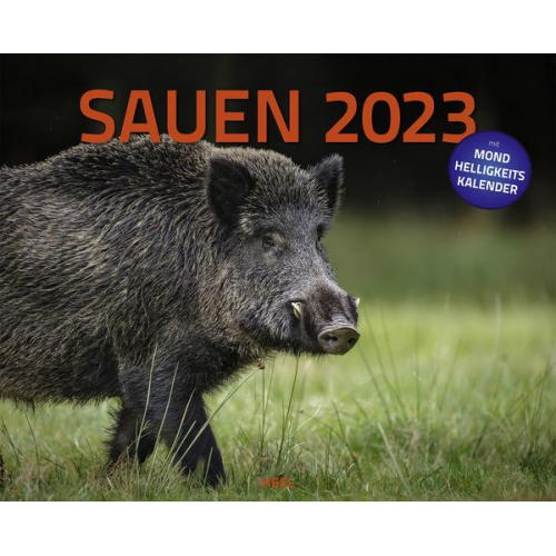 Sauen 2023