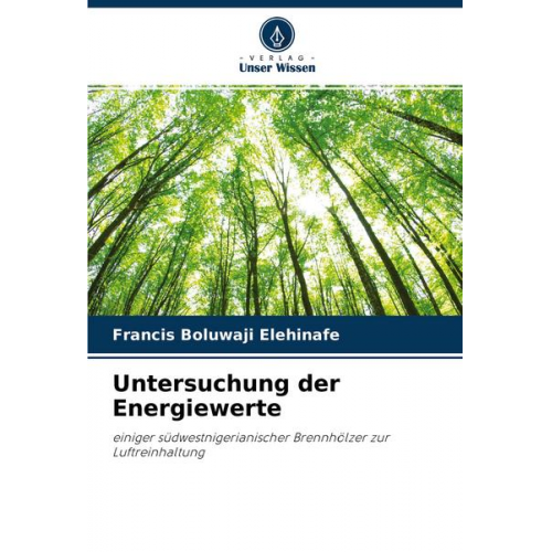 Francis Boluwaji Elehinafe - Untersuchung der Energiewerte