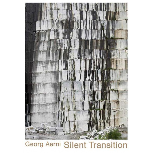 Georg Aerni – Silent Transition