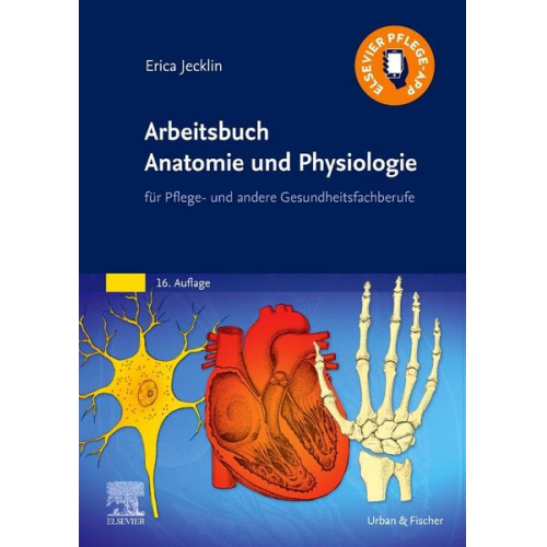Erica Brühlmann-Jecklin - Arbeitsbuch Anatomie und Physiologie
