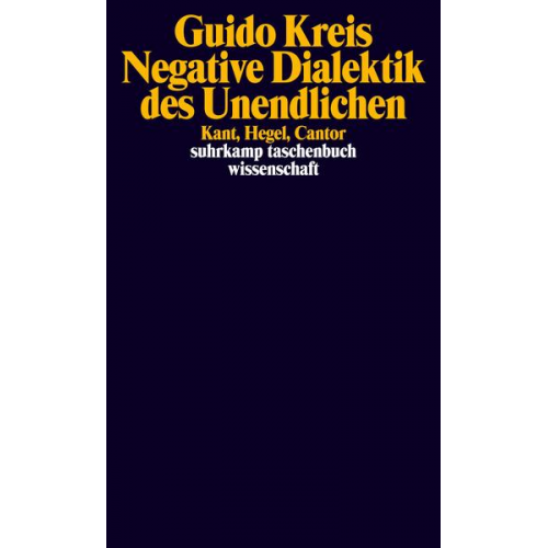 Guido Kreis - Negative Dialektik des Unendlichen