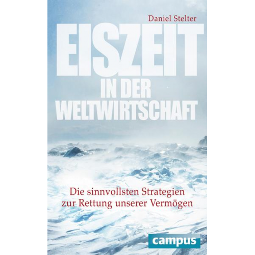 Daniel Stelter - Eiszeit in der Weltwirtschaft