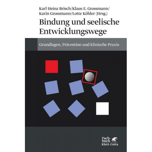 Karl Heinz Brisch & Klaus E. Grossmann & Karin Grossmann & Lotte Köhler - Bindung und seelische Entwicklungswege