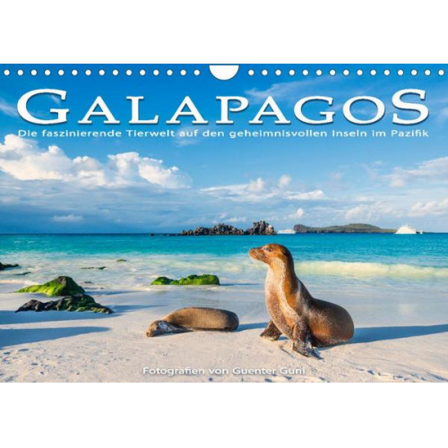 Guenter Guni - Die faszinierende Tierwelt der Galapagos-Inseln (Wandkalender 2023 DIN A4 quer)