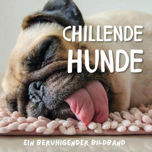 Stefan Gruber - Chillende Hunde