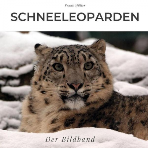 Bibi Hübsch - Schneeleoparden