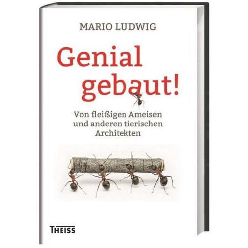 Mario Ludwig - Genial gebaut!