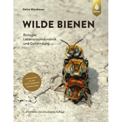 Heinz Wiesbauer - Wilde Bienen