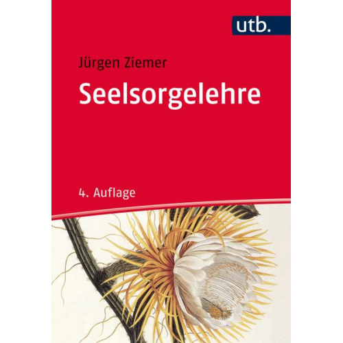 Jürgen Ziemer - Seelsorgelehre