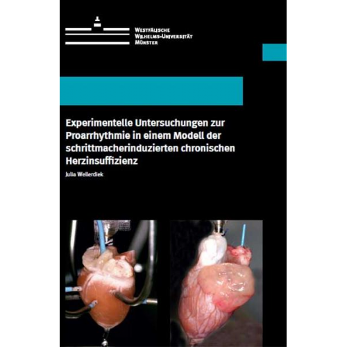 Julia Wellerdiek - Experimentelle Untersuchungen zur Proarrhythmie in einem Modell der schrittmacherinduzierten chronischen Herzinsuffizienz