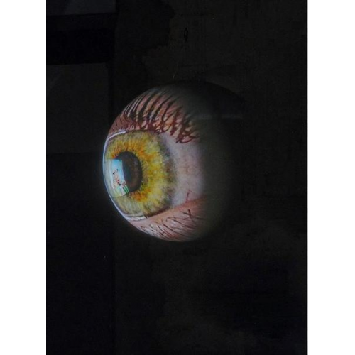 Alice Ko - Tony Oursler. SPECULAR