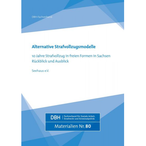 Alternative Strafvollzugsmodelle