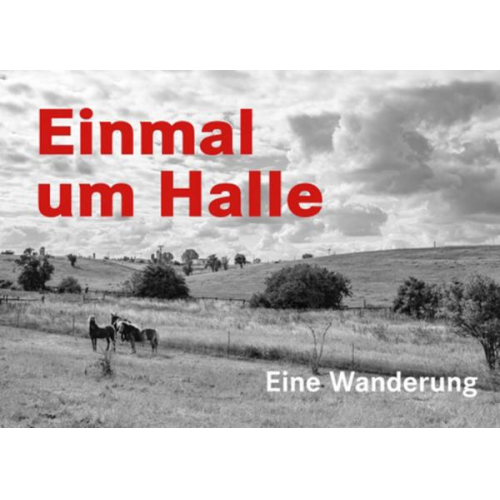 Rüdiger Giebler - Einmal um Halle