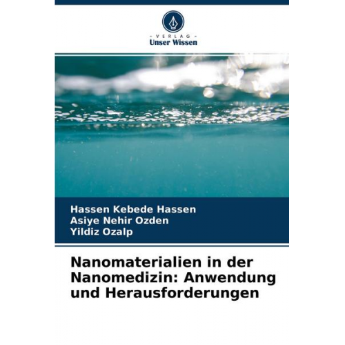 Hassen Kebede Hassen & Asiye Nehir Ozden & Yildiz Ozalp - Nanomaterialien in der Nanomedizin: Anwendung und Herausforderungen