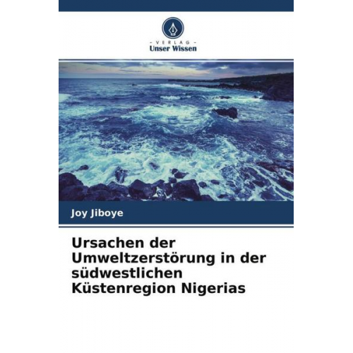 Joy Jiboye - Ursachen der Umweltzerstörung in der südwestlichen Küstenregion Nigerias