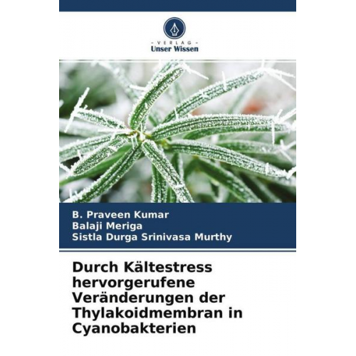 B. Praveen Kumar & Balaji Meriga & Sistla Durga Srinivasa Murthy - Durch Kältestress hervorgerufene Veränderungen der Thylakoidmembran in Cyanobakterien