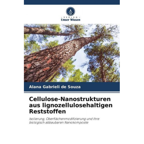 Alana Gabrieli de Souza - Cellulose-Nanostrukturen aus lignozellulosehaltigen Reststoffen