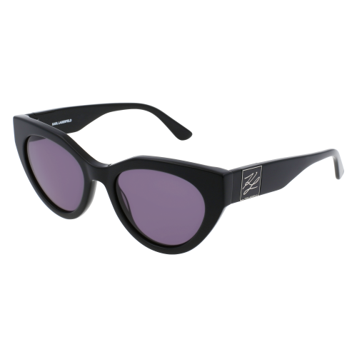 Sonnenbrillen  Karl lagerfeld Kl6047s col. 001 Damen  Schwarz