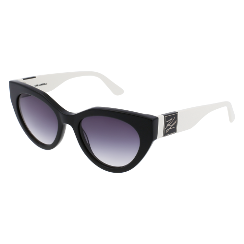 Sonnenbrillen  Karl lagerfeld Kl6047s col. 004 Damen  Schwarz