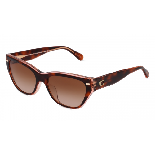 Coach HC8370U Damen-Sonnenbrille Vollrand Butterfly Acetat-Gestell, braun