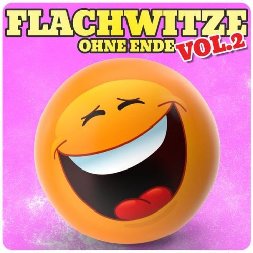 Der Spassdigga - Flachwitze ohne Ende, Vol. 2