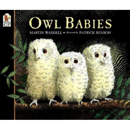 Martin Waddell - Owl Babies