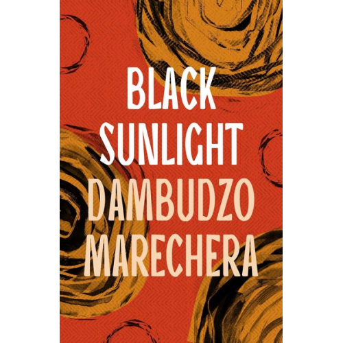 Dambudzo Marechera - Black Sunlight