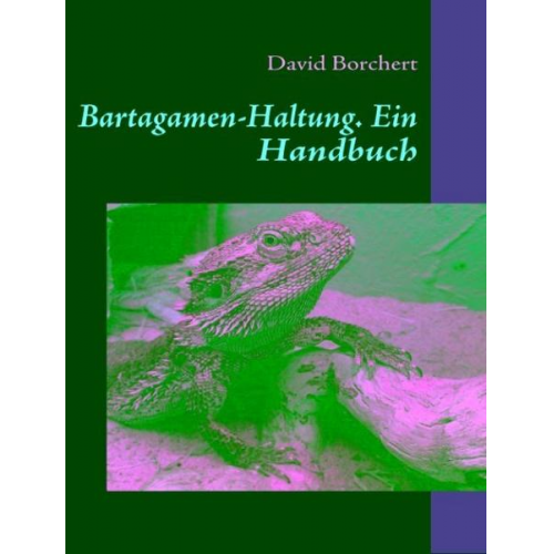 David Borchert - Bartagamen-Haltung