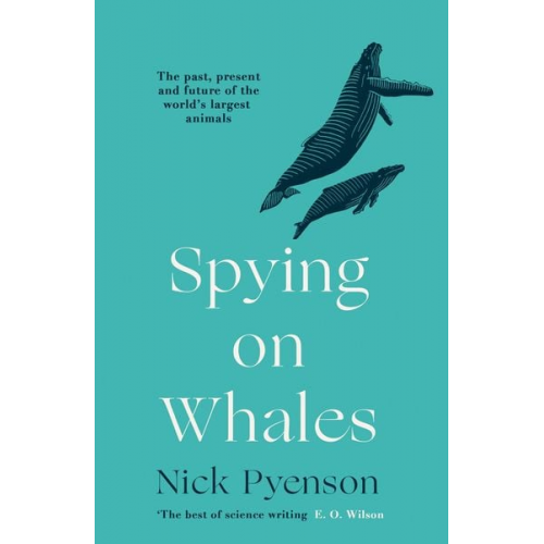 Nick Pyenson - Spying on Whales