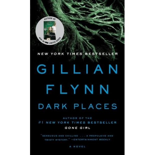 Gillian Flynn - Dark Places