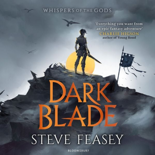 Steve Feasey - Dark Blade