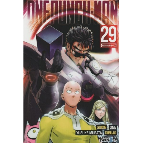 One Punch Man 29