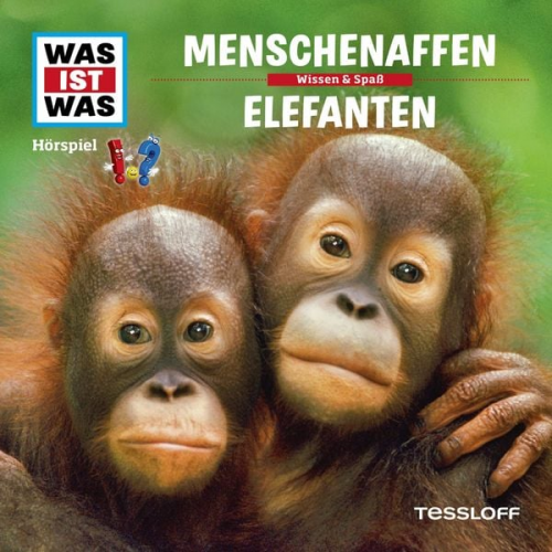 Kurt Haderer - 33: Menschenaffen / Elefanten