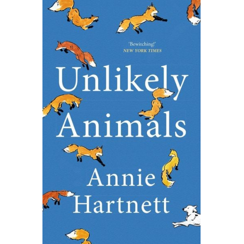 Annie Hartnett - Unlikely Animals