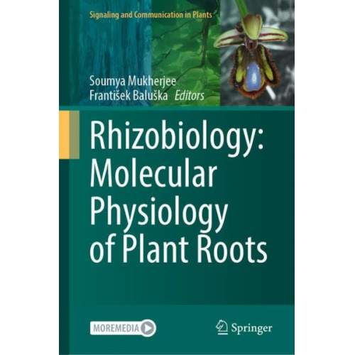 Rhizobiology: Molecular Physiology of Plant Roots