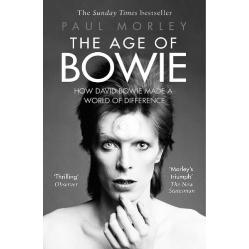 Paul Morley - The Age of Bowie