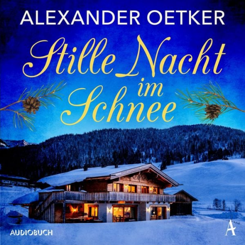 Alexander Oetker - Stille Nacht im Schnee