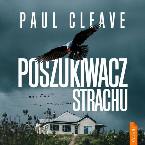 Paul Cleave - Poszukiwacz strachu