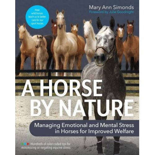 Mary Ann Simonds - A Horse by Nature