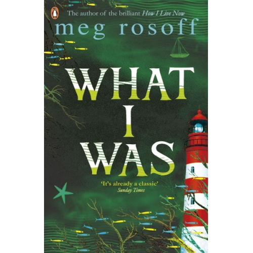 Meg Rosoff - What I Was