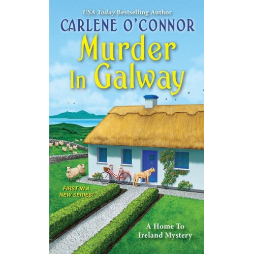 Carlene O'Connor - Murder in Galway