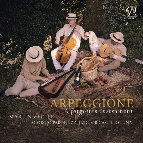 Arpeggione - A forgotten Instrument
