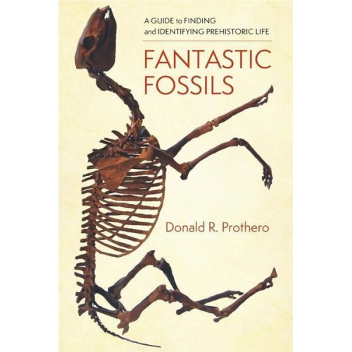 Donald R. Prothero - Fantastic Fossils