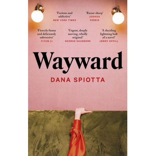 Dana Spiotta - Wayward