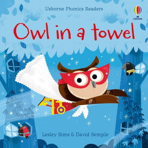 Lesley Sims - Owl in a Towel