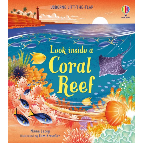 Minna Lacey - Look inside a Coral Reef