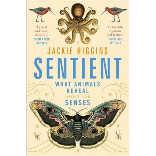 Jackie Higgins - Sentient