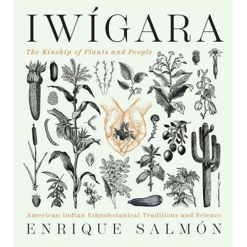 Enrique Salmon - Iwigara