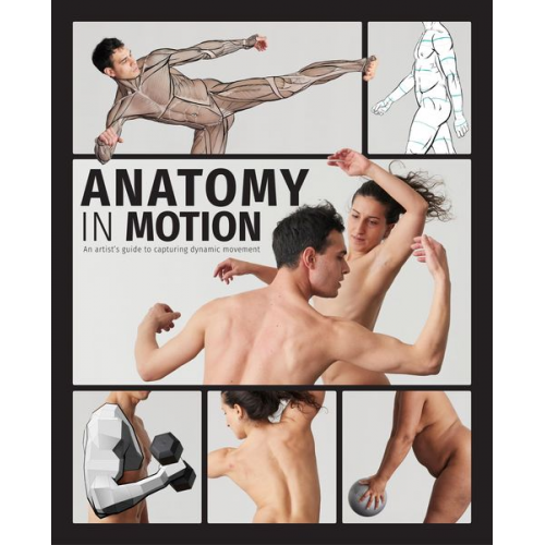 Anatomy in Motion