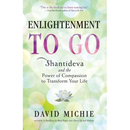 David Michie - Enlightenment to Go